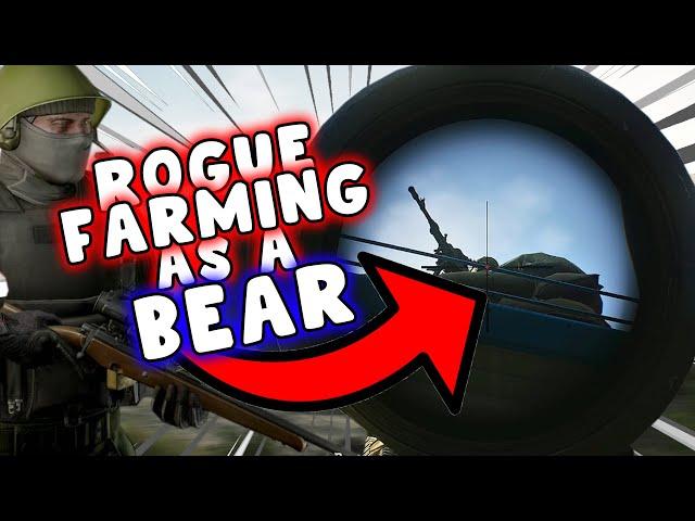 How I FARM The Rogues As A Bear - Escape From Tarkov