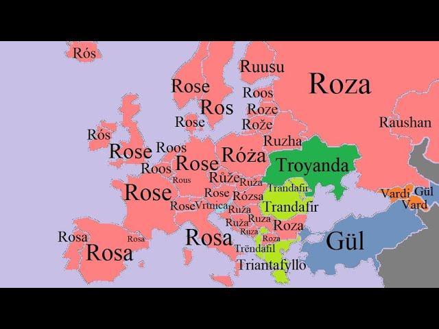 Flowers | European Languages Comparison