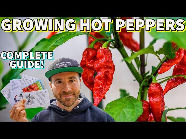 Hot Pepper Growing Guide: Sow These Summer Veggies FIRST!