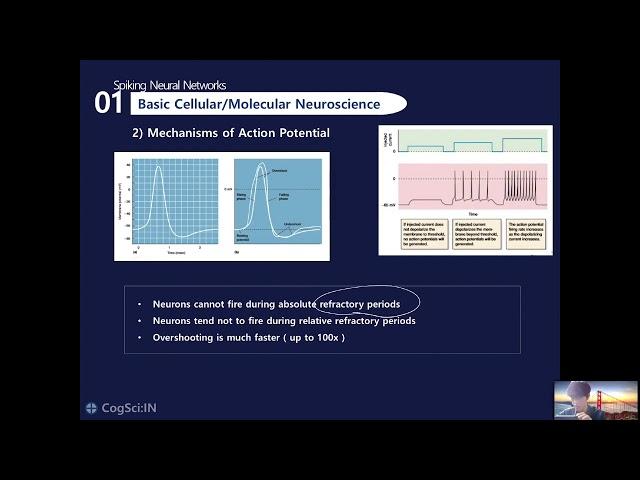 SNN : Spiking Neural Network (1) 뉴런의 생물학적 원리 | 연세대학교 CogSci:IN