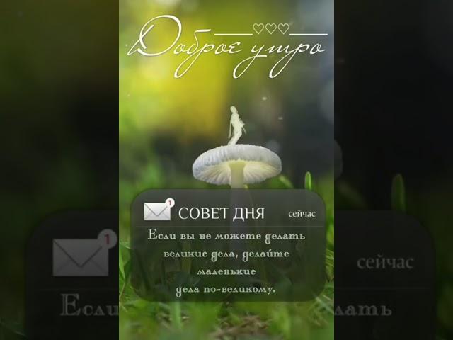 совет дня ️