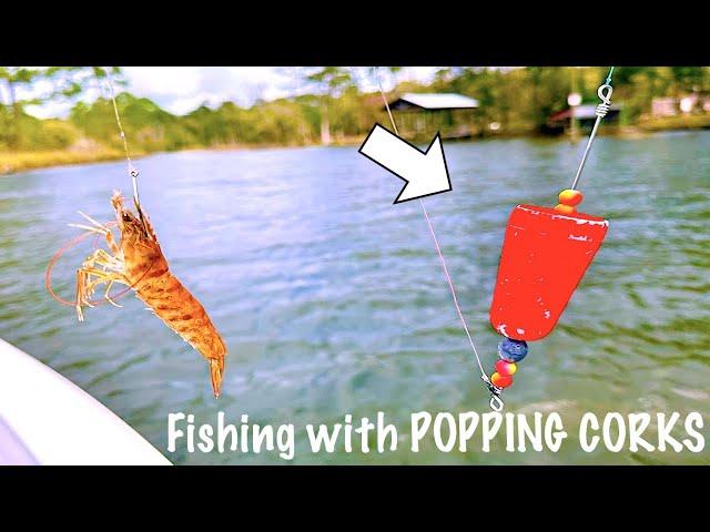 Saltwater Fishing ANYONE Can Do! [The Popping Cork]