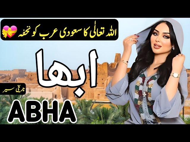 Travel to Abha City | Full History and Documentary about Abha in Hindi/Urdu | By Clock Work