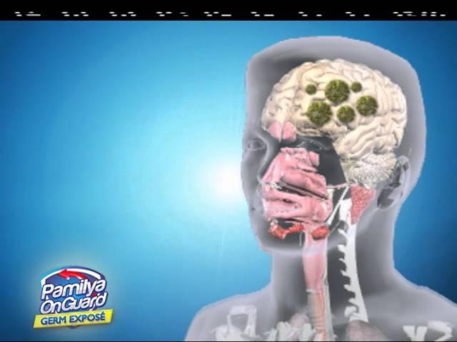 Kitchen mold toxins can affect human brain