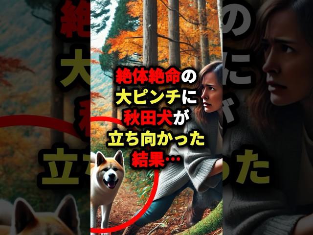 「日本の犬は異常すぎる!!」絶体絶命の大ピンチに秋田犬が立ち向かった結果… #海外の反応