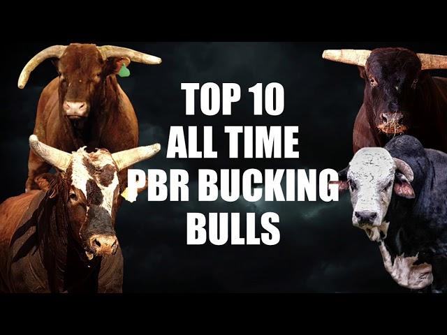 Top ten PBR bucking bulls of all time