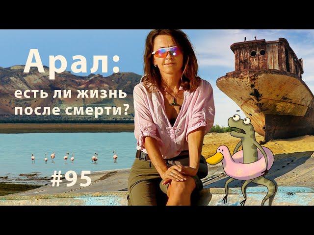 Арал: есть ли жизнь после смерти? // Всё как у зверей #95