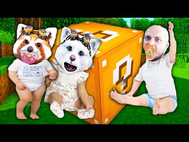 Bebe Nociv vs Bebe Lavi vs Bebe Costin in Minecraft Lucky Blocks! Cine Castiga?!