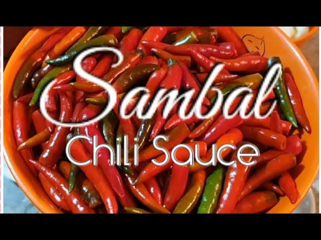 SAMBAL | INDONESIAN CHILI SAUCE | YNATREVS