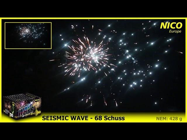 NICO Europe   Seismic Wave