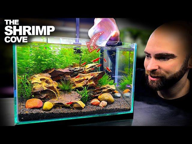 The Shrimp Cove: New Neocaridina Nano Tank For Freshwater Cherry Shrimp (Aquascape Tutorial)