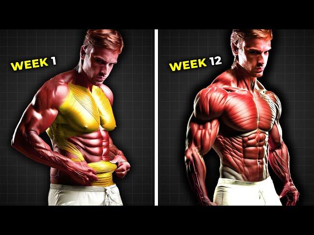 THIS Is How to Lose Fat & Build Muscle (at the same time)