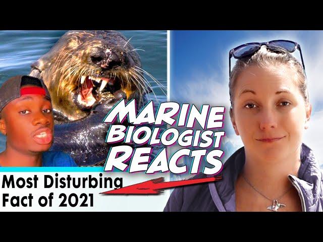 Marine Biologist REACTS to Casual Geographic / The TRUTH About Sea Otters