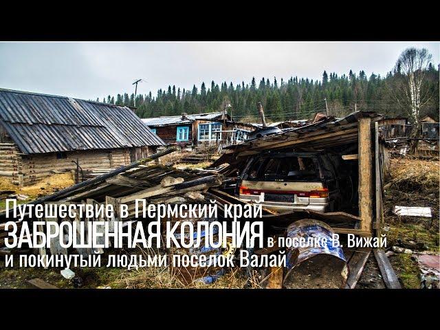 ПОКИНУТЫЙ людьми поселок ВАЛАЙ. Волк на дороге. ЗАБРОШЕННАЯ колония в поселке ВИЖАЙ.