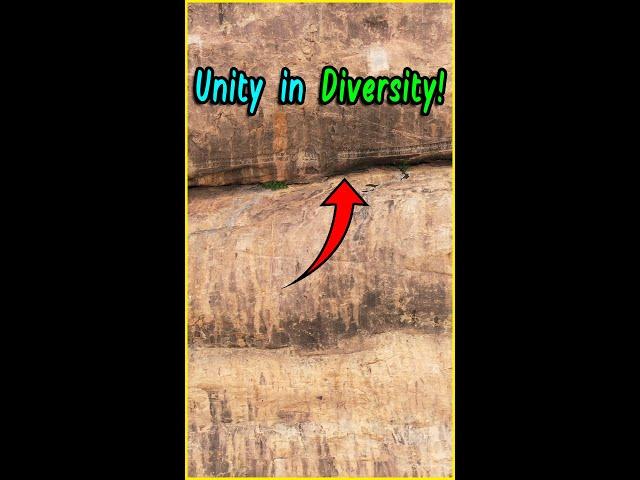 Unity in Diversity