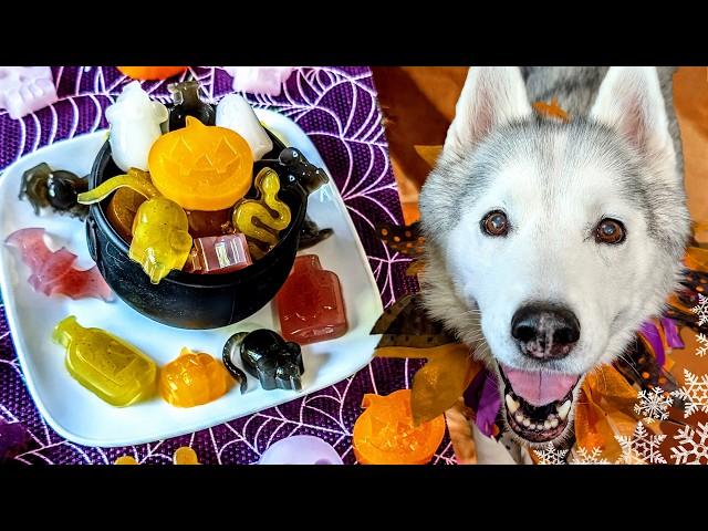 Spooky DIY Gummy Halloween Dog Treats  DIY Halloween Dog Treats