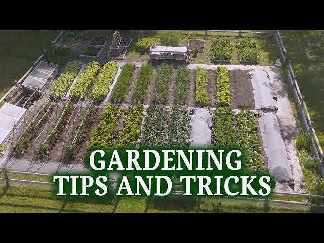 Tips & Tricks to Gardening | Blue Goose Farms x Lee Valley