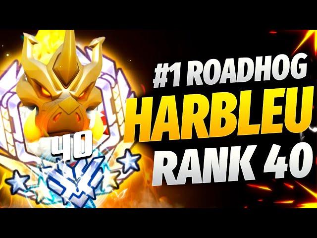 Harbleu Roadhog and Hammond gameplay! [ Overwatch Season 35 Top 500 ]