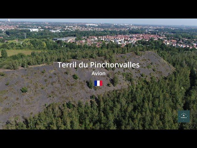 Terril de Pinchonvalles (Avion - France)