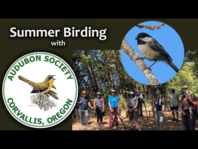 Summer Birding with the Audubon Society of Corvallis