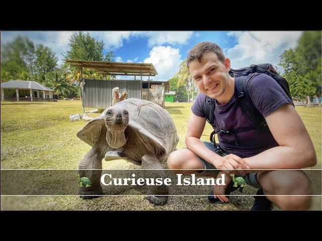 Curieuse Island Seychelles | Island of the Giant Tortoises | 4k