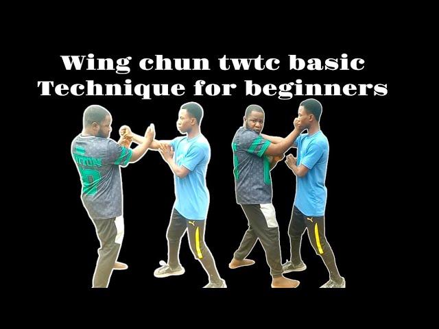 Wing chun twtc basic technique for beginners