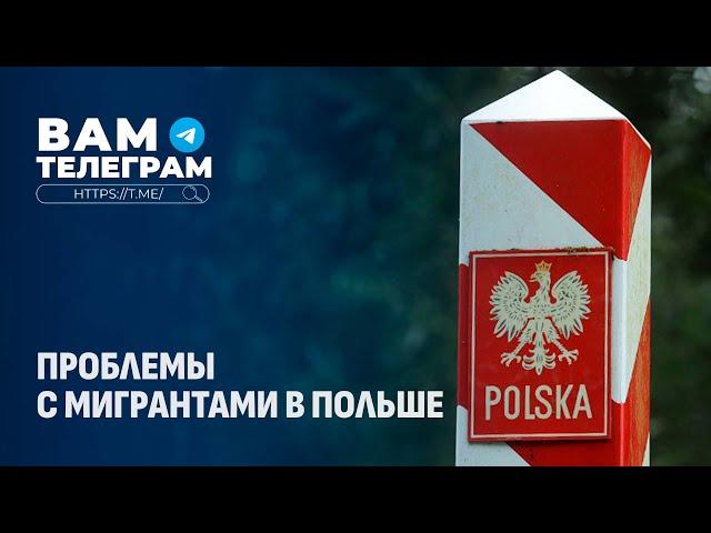 Дискуссии по Украине | Негативные настроения в США | Проблемы с мигрантами в Польше. Вам Телеграм