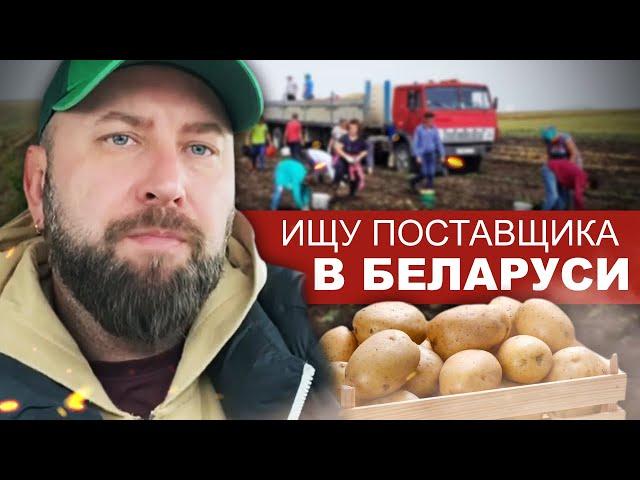 Ищу Поставщиков Картофеля в Беларуси. Найти Поставщика ДЛЯ СТАРТА. Бизнес Без Вложений. Бизнес идеи