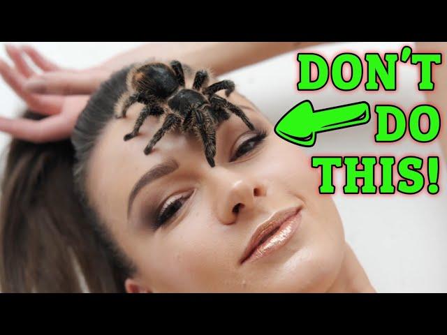 THE CURE? How To Treat Urticating Hairs! (Tarantula)