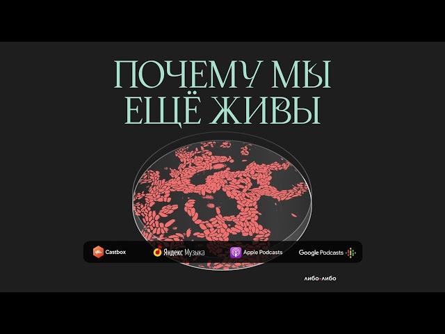 Показать всё, что скрыто: кто придумал рентген, КТ, УЗИ и МРТ | Подкаст Почему мы ещё живы