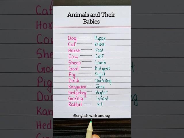 Animals and their Babies  #english #grammar #education #learning