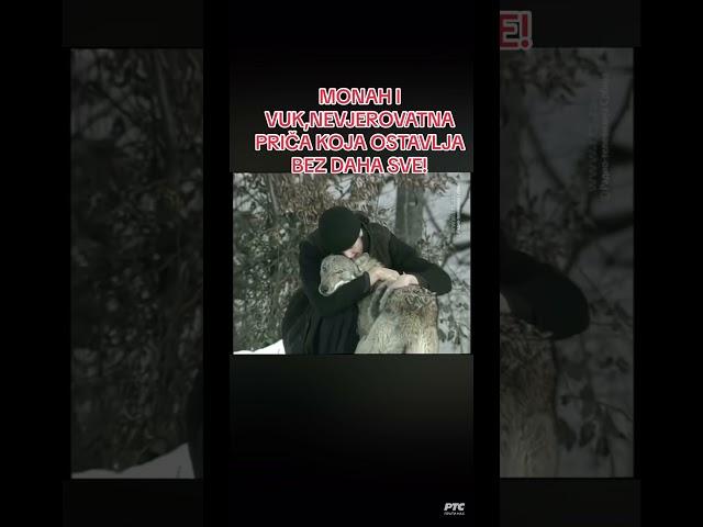 Вук и монах. Предивно. Слава Богу за све. :pubgtigerr #добровољци #православље 
