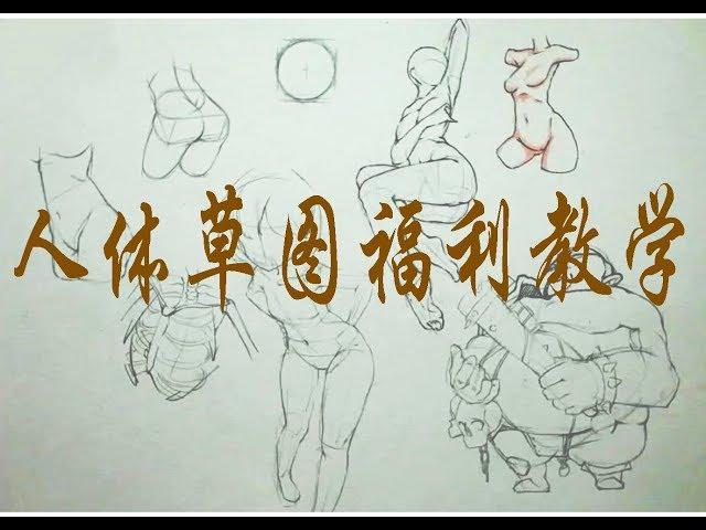 【漫画基础】学习漫画，以为就画个简单的结构就好了嘛，其实还有这个你没有画完整