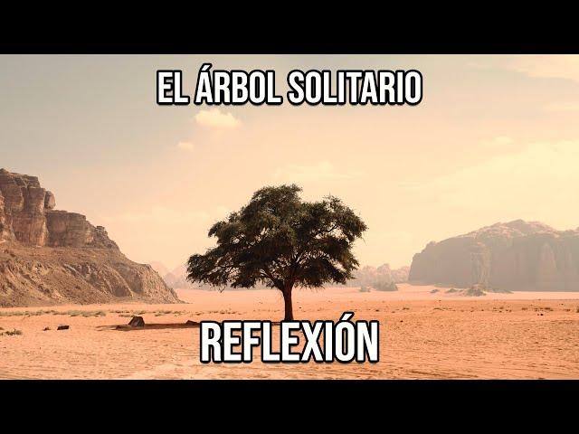 REFLEXIÓN EL ÁRBOL SOLITARIO, Reflexiones Diarias, Cortas, de Vida, del Alma, Mejor Persona, De Dios