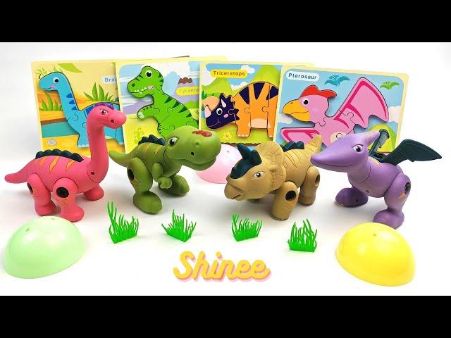 Dinosaurs for Kids | Learn Dinosaurs with Dinosaur Puzzles and Toys | Shinee