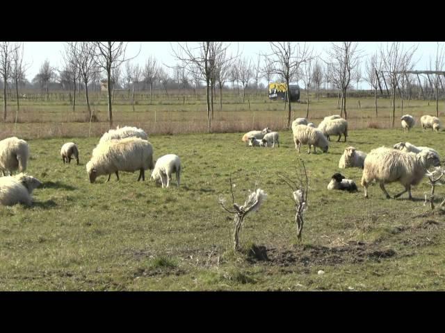 Wandeling rondom Schin op Geul 26 maart 2016