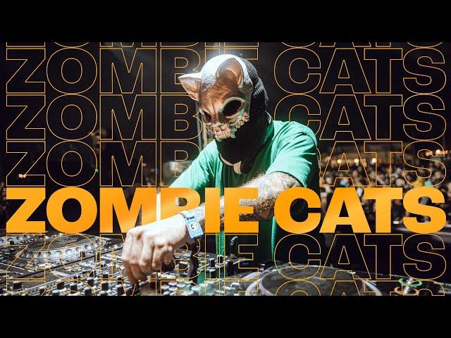 Zombie Cats - Let It Roll 2024 | Drum and Bass