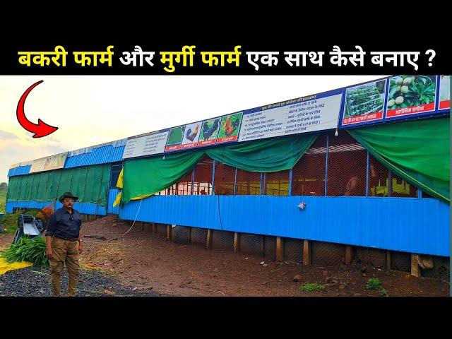 बकरी फार्म + मुर्गी फार्म एक साथ कैसे बनाए? How to make a goat farm and poultry farm shed