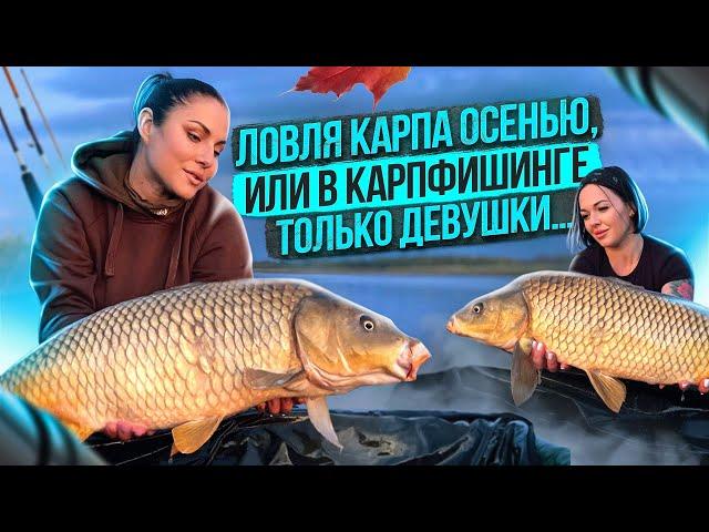 ЛОВЛЯ КАРПА ОСЕНЬЮ! РЫБАЛКА НА КАРПА.ЖЕНСКИЙ КАРПФИШИНГ 2023 #carpfishing #fishing #рыбалка