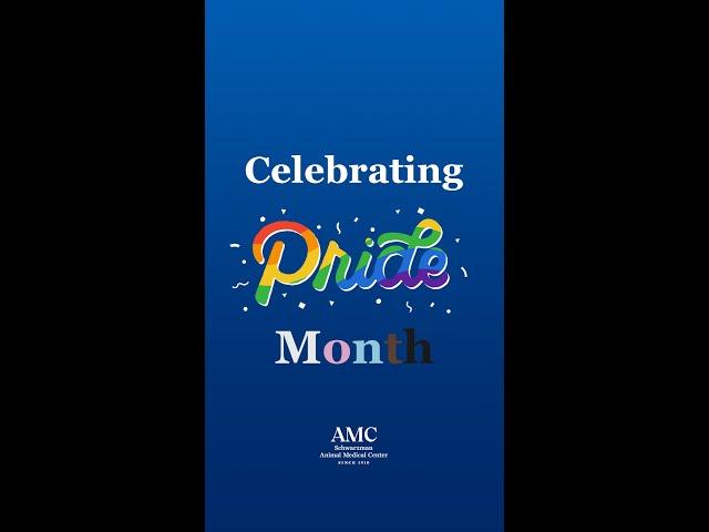 Celebrating Pride at AMC