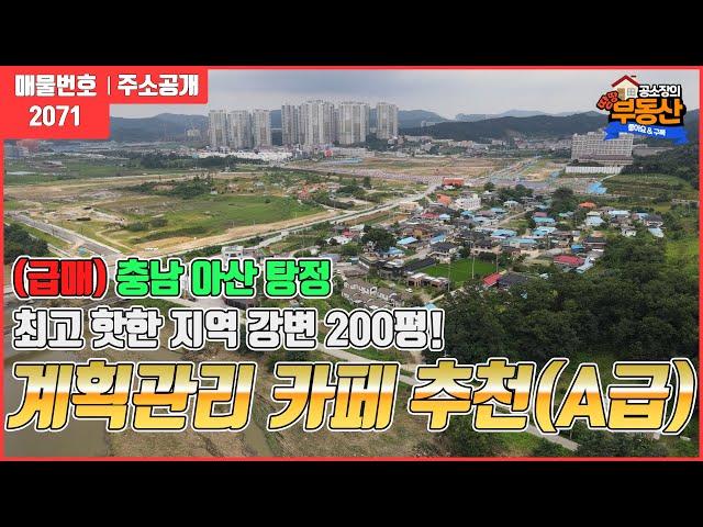 21.3.2계약완료[탕정 강변 카페로~] 아산 탕정 개발지  중심  핫플레이스~~강변도로 접한 토지!!카페&레스토랑 요식업 좋은곳 아산탕정부동산/땅땅부동산TV~