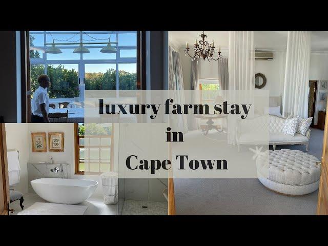 Avontuur Estate: a luxury thoroughbred farm stay in Cape Town