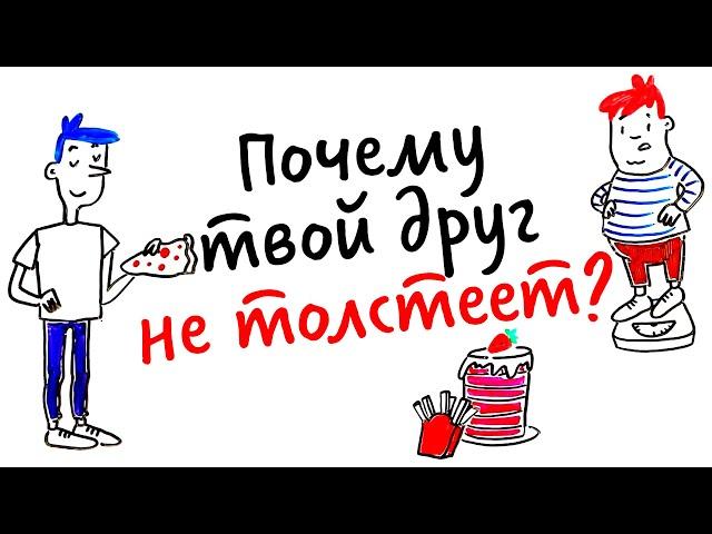 Почему твой друг ЕСТ И НЕ ТОЛСТЕЕТ? — Научпок