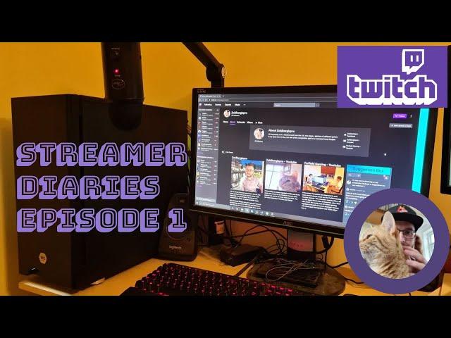 My first month as a Twitch Streamer - Streamer Diaries #1