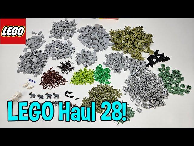 LEGO Haul 28! | in 4K! | LEGO Bricks and Pieces! | Prepping for BITS 2024 Build! #lego #legohaul