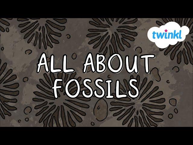 What are Fossils? for Kids | Twinkl USA