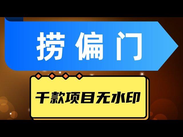 千款捞偏门小本创业小项目，总有一款适合你【无水印】