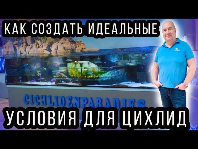 Превратите свой АКВАРИУМ в рай для ЦИХЛИД! Советы  Aquahaus-Gaus, самой большой рыборазводни цихлид!