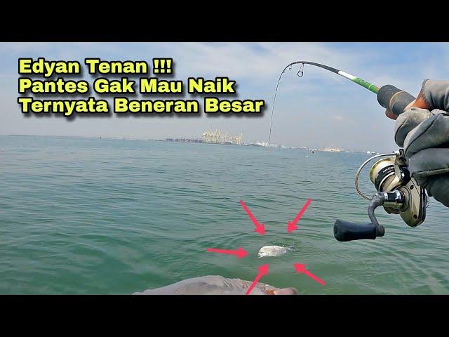 Edyan !!! Pantesan Ikan Gak Mau Di Angkat, Ikan Naik Ternyata Beneran Babon !!!