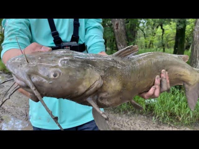 Chasing Monster Gar and Catfish in Flooded Trinity River with SmokeN'Fish! (2024 Dallas Texas Trip)